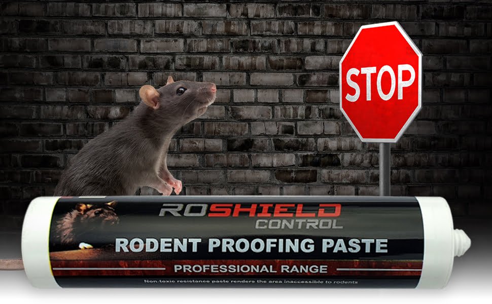 8de5e1ee 6b13 4cd6 adbb ec7b9d13c8f1. CR0,0,1464,600 PT0 SX1464 V1